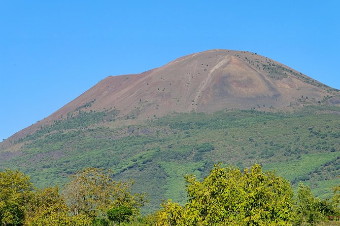 Mt Vesuvius Half-Day Trip from Naples - Who This Trip Suits Best (And Who Should Skip It)