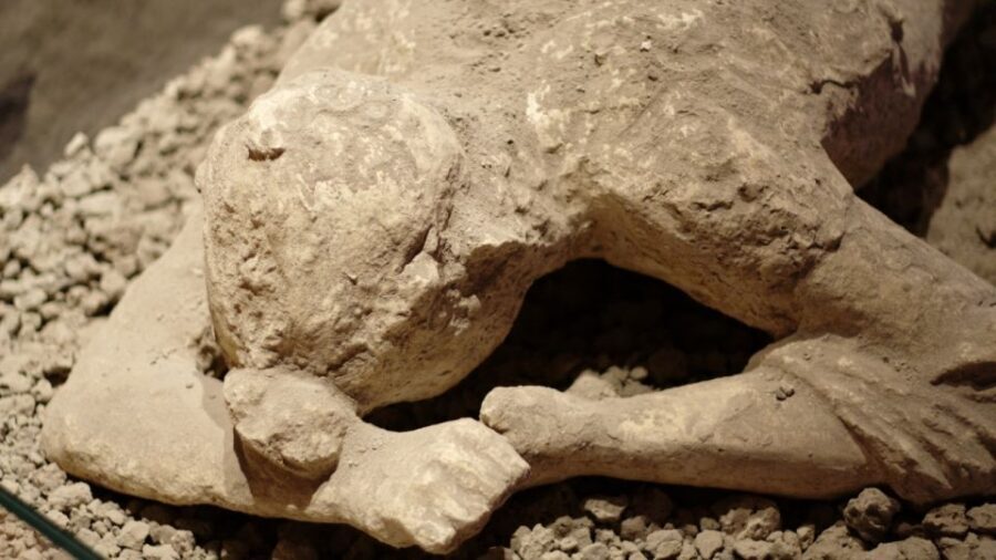 Naples: 7 Days Pass - Pompeii, Museums & Transport Included - Common Hiccups: App Refresh, QR Codes, and Skip-the-Line Expectations