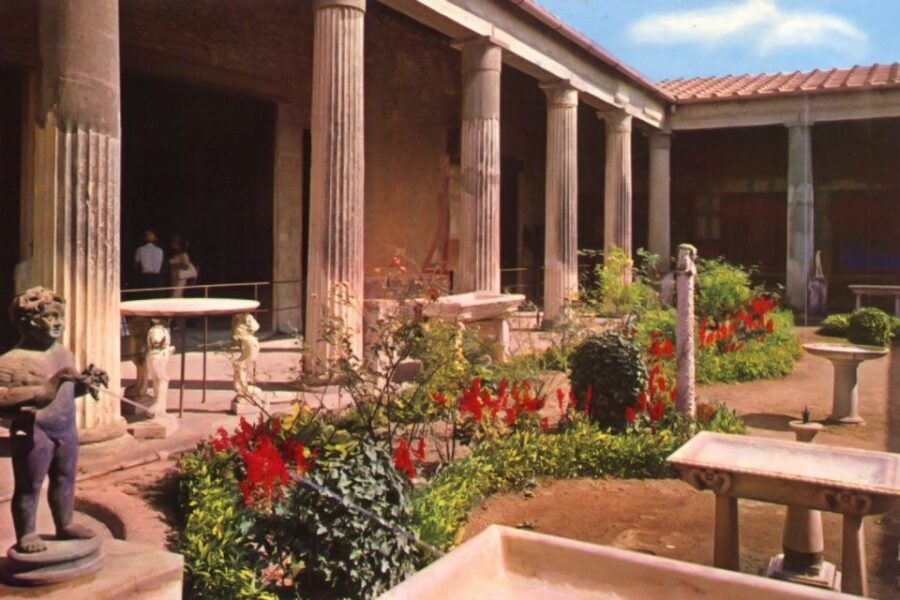 Naples and Pompeii: Half-Day Tour - Practical Tips So Your Half-Day Feels Worth It