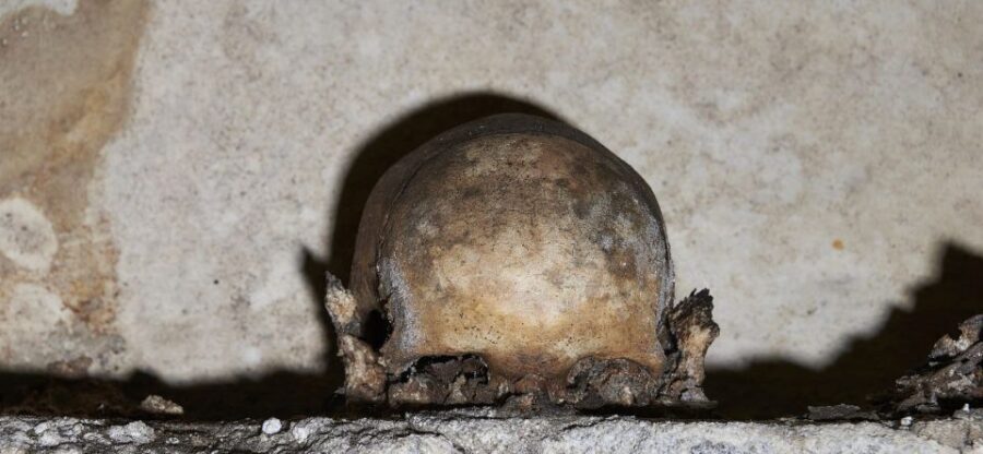 Naples: City and Lapis Museum Tour with an Archaeologist - The LAPIS Museum and WWII Shelters: When the Underground Saved Lives