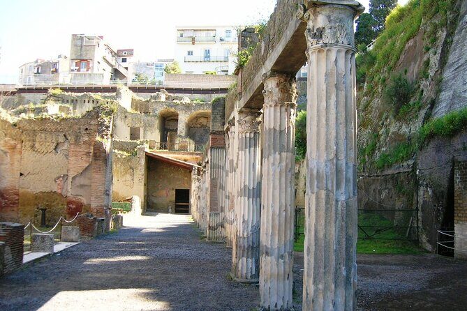 Naples: Herculaneum Entry Ticket with Digital Audio Tour - Your Digital Audio Tour: What It Gets Right (and what to watch)