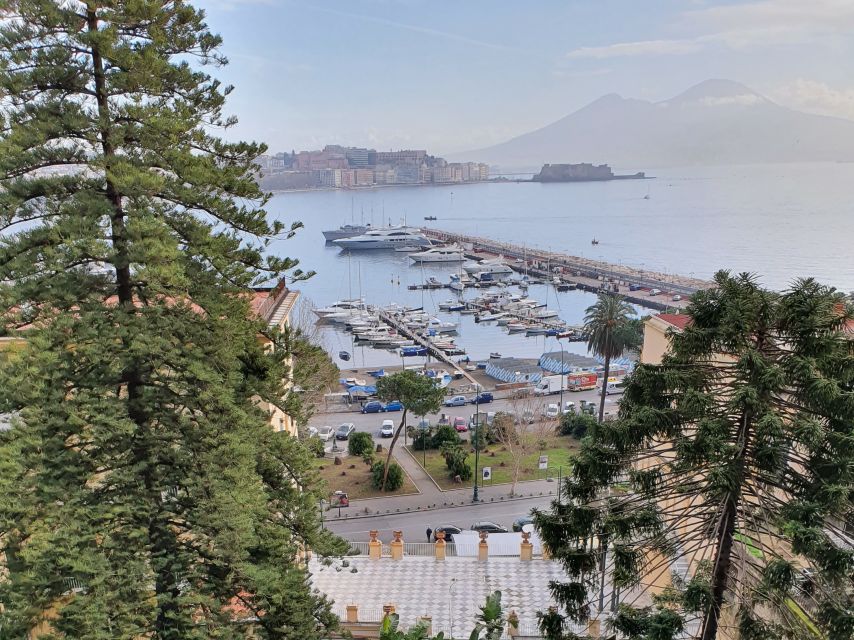 Naples: Naples, Pompeii, and Vesuvius Full-Day Tour - Who this tour is best for (and who should rethink it)