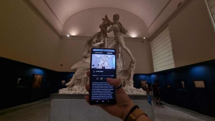 Naples: National Archaeological Museum audio guide - Why the Naples Archaeological Museum is easier with this audio guide
