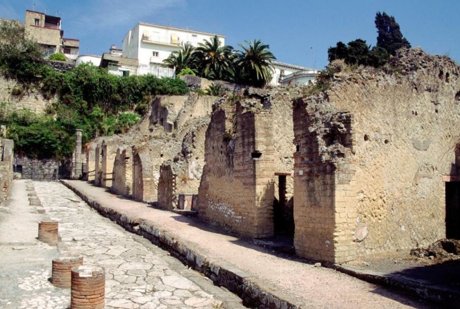 Naples: Pompeii, Herculaneum, and Vesuvius Tour by Minivan - Key highlights that make this tour click