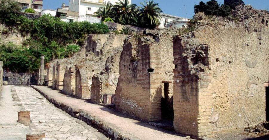 Naples: Pompeii, Herculaneum, and Vesuvius Tour by Minivan - Comfort and timing: why the Mercedes V Class format matters