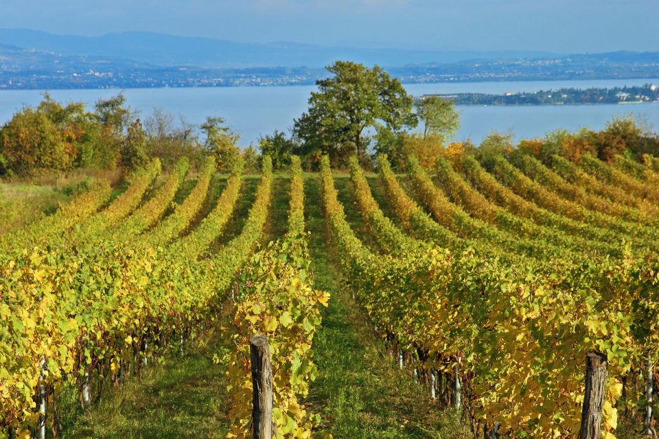 Naples: Pompeii, Vesuvius and Wine Tasting Tour - The Scenic Drive to Mount Vesuvius: Views While You Travel