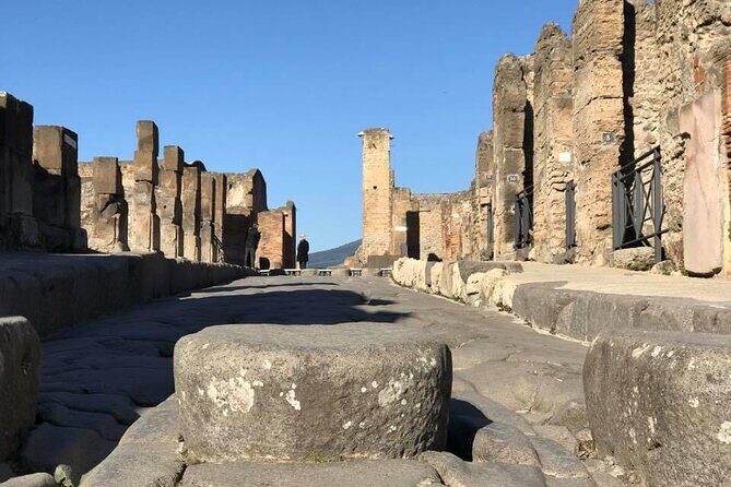 Naples port tour Sorrento and pompeii and overview of positano - Meet your driver and the small-group setup in the port area