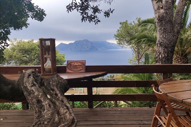 Naples port tour Sorrento and pompeii and overview of positano - Pompeii Archaeological Park: a private 2-hour walk you can actually keep up with