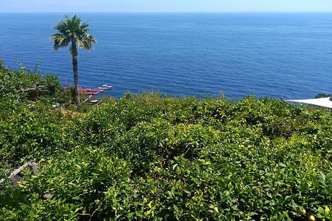 Naples port tour Sorrento and pompeii and overview of positano - How much this costs and when it feels like a bargain