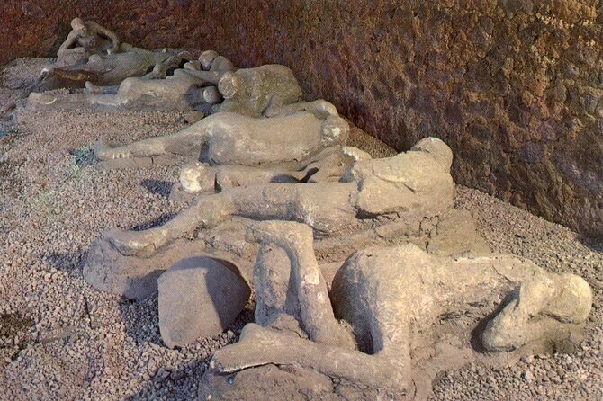 Naples Shore Excursion: Pompeii Independent Half-Day Trip - Naples–Pompeii logistics that actually matter