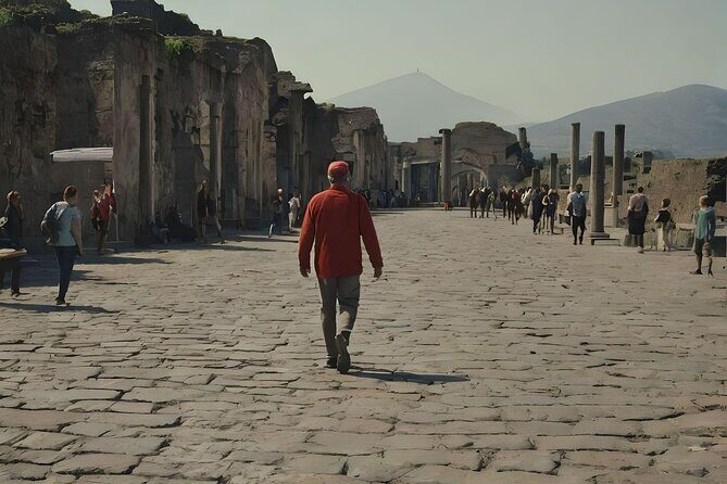 Naples to Pompeii direct transfer (or viceversa) - Waiting Rules and Delays: How They Protect Your Schedule