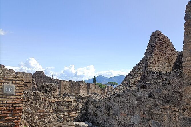 Naples transfer to Pompeii guided tour and Back - Naples to Pompeii Without the Headache: How the Transfer Works