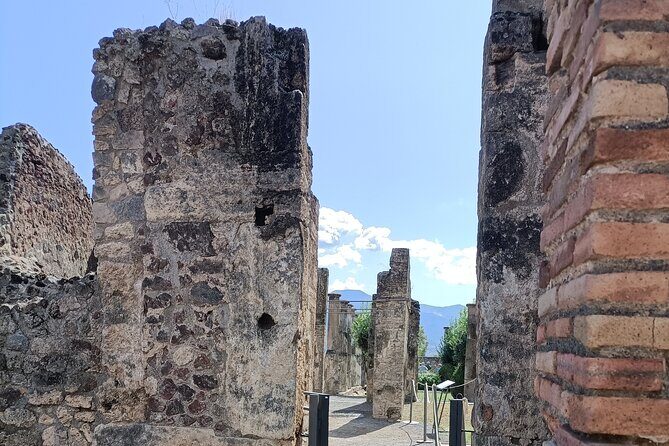 Naples transfer to Pompeii guided tour and Back - Time and Timing: Making Around Two Hours Feel Worth It