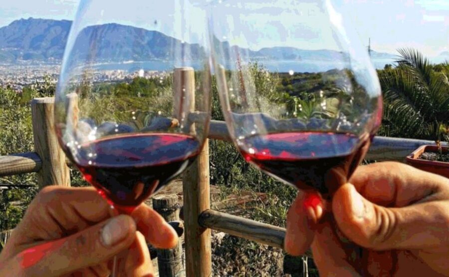 Naples: Vesuvius Half-Day Trip with Lunch and Wine Tasting - Should you book this Mount Vesuvius tour?