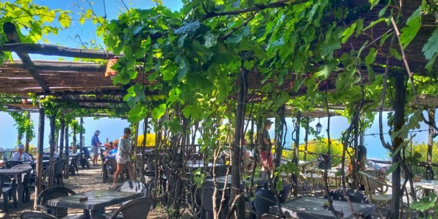 Naples: Vesuvius Half-Day Trip with Lunch and Wine Tasting - Who should book this Vesuvius half-day, and who shouldn’t