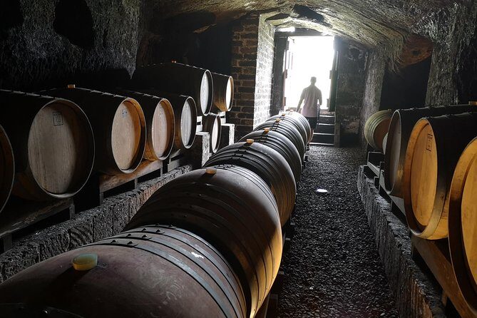 Orvieto by Evening: Small Group e-Bike tour with Dinner - Cantina Foresi: the 1-hour wine-and-food tasting after the ride