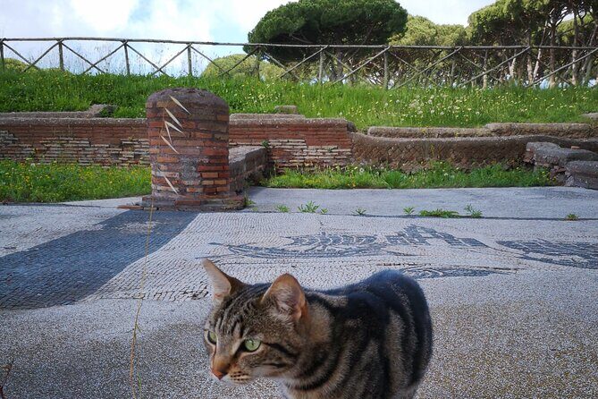 Ostia Antica Archaeological Park with Italian Gelato - Small-group pace and a 9:30 AM start