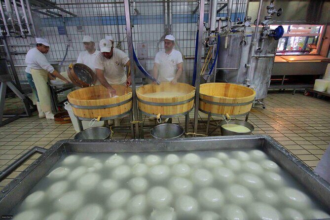 Pastum and Buffalo Mozzarella Drive - Getting out of Naples without losing your day