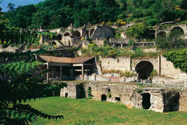 Phlegraean Fields: Cuma Baia and Pozzuoli private excursion - Pozzuoli’s former market of Puteoli and the Temple of Serapis