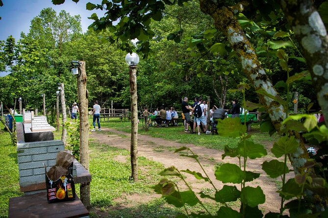 Picnic Area with Barbecue Equipment in Capranica (VT) - Key highlights you can feel day-of