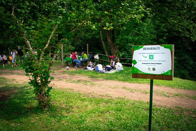 Picnic Area with Barbecue Equipment in Capranica (VT) - Getting the timing right: hours, weather, and planning your 10-hour day
