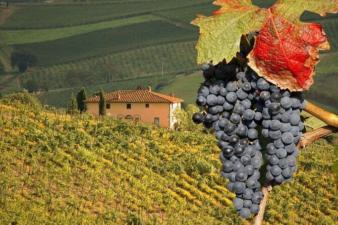 Pienza and Montepulciano by Tuscan Hills from Rome Private Tour - Pienza in Val d’Orcia: Renaissance Design, Pope Pius II, and Pecorino Pairing