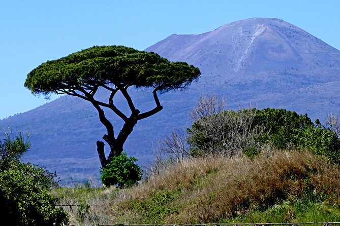 POMPEI Half Day TOUR - Departure from NAPLES Centre (TICKET INCLUDED) - Pompeii’s Forum and political heart: where city life ran