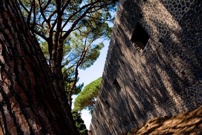 POMPEI Half Day TOUR - Departure from NAPLES Centre (TICKET INCLUDED) - Walking the ancient streets: shops, thermopolies, and daily routines