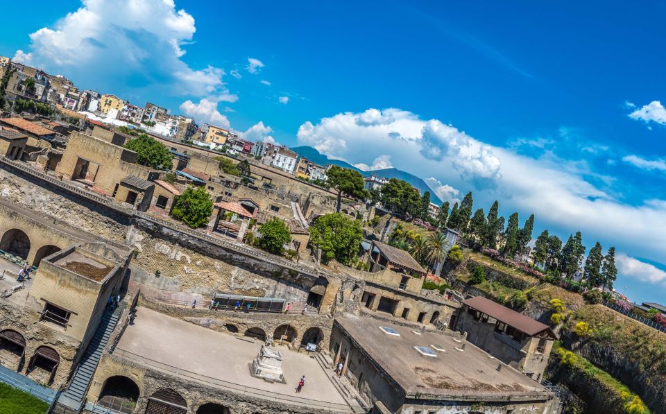 Pompei: Vesuvius and Herculaneum Tour - What this tour is best for