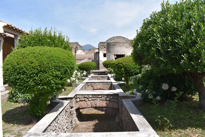 Pompeii & Amalfi Coast Tour from Naples or Sorrento - Price and value: what you’re paying for at $588.81 per person