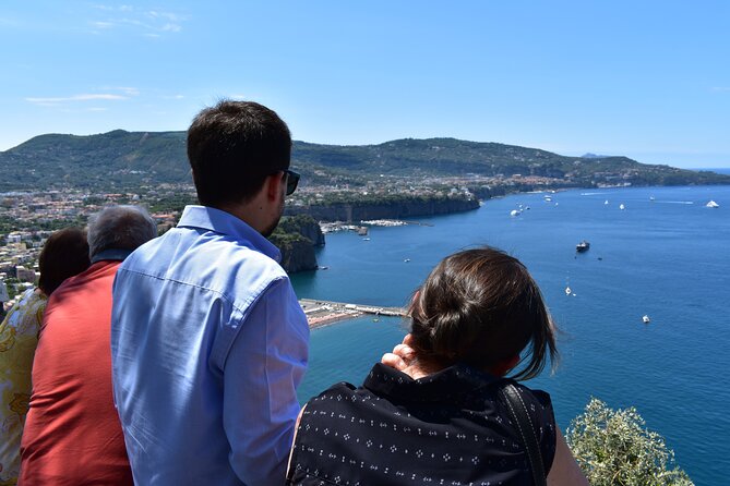 Pompeii & Amalfi Coast Tour from Naples or Sorrento - Pompeii in a tight window: what you’ll actually see