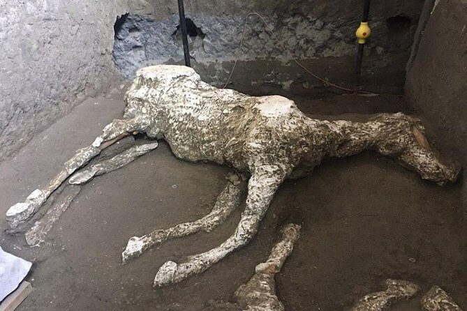 Pompeii and Amalfi Coast Day Trip from Naples - Who should book this Pompeii and Amalfi day trip