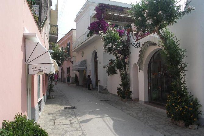 Pompeii and Amalfi Coast Port Tour (Driver Only/Self Touring) - Who this tour suits best (and who should rethink it)