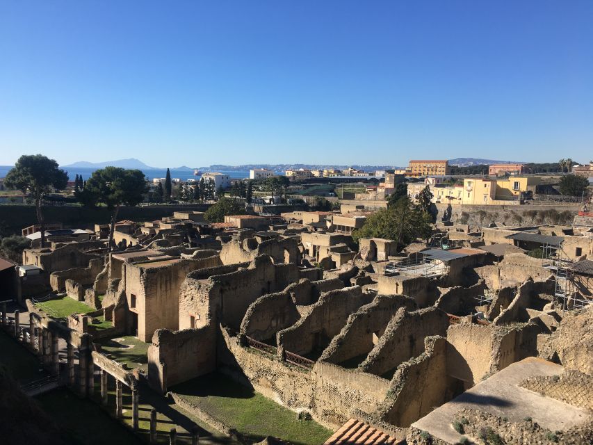 Pompeii and Herculaneum: Guided Tour with an Archaeologist - The Herculaneum shift: better preservation and more intimate rooms