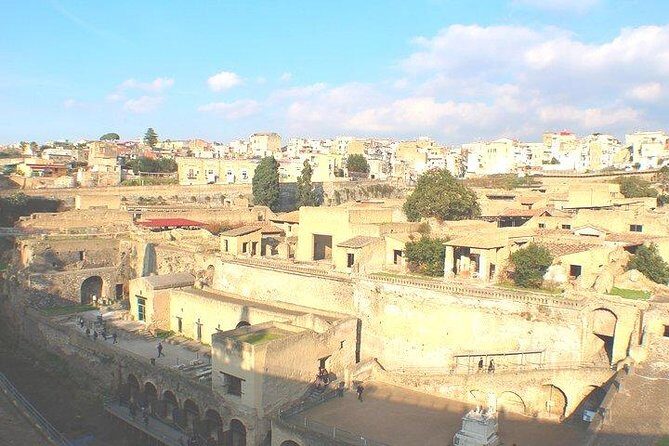 Pompeii and Herculaneum Private Tour with Native Guide and Skip the Line Tickets - A Private Skip-the-Line Day for Pompeii and Herculaneum