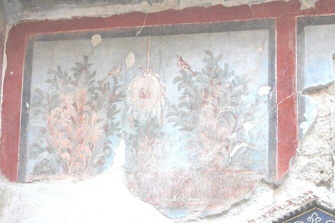 Pompeii and Herculaneum Private Tour with Native Guide and Skip the Line Tickets - Meeting at Hotel Vittoria and Finishing at Ercolano Scavi