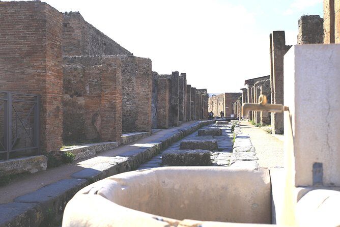 Pompeii and Herculaneum Private Tour with Native Guide and Skip the Line Tickets - Pompeii Highlights: Theater Magic, Baths, and the Main Street of Commerce