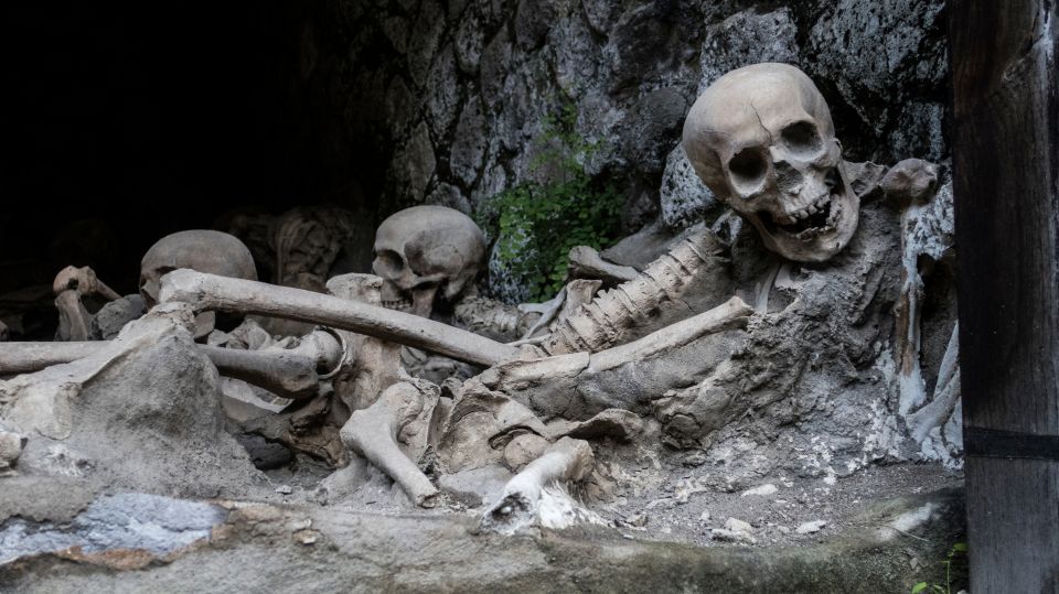 Pompeii and Herculaneum: Private Tour with Transportation - How intense is the walking, really?