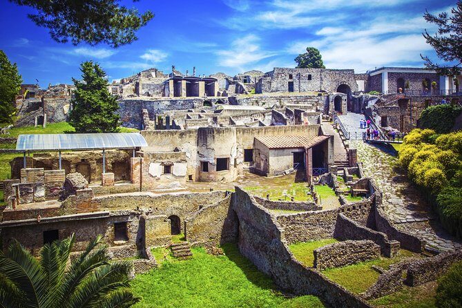 Pompeii and Herculaneum Ruins Private Tour - The Driver Detail: Pino and Handling Plan Changes