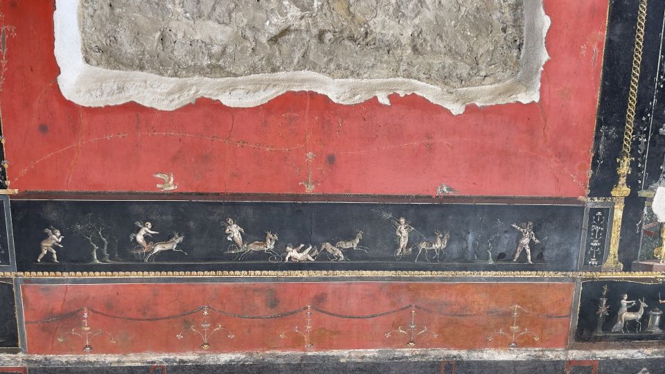 Pompeii and House of Vettii Guided Tour - Small Group Max 10 and the Guide’s Role