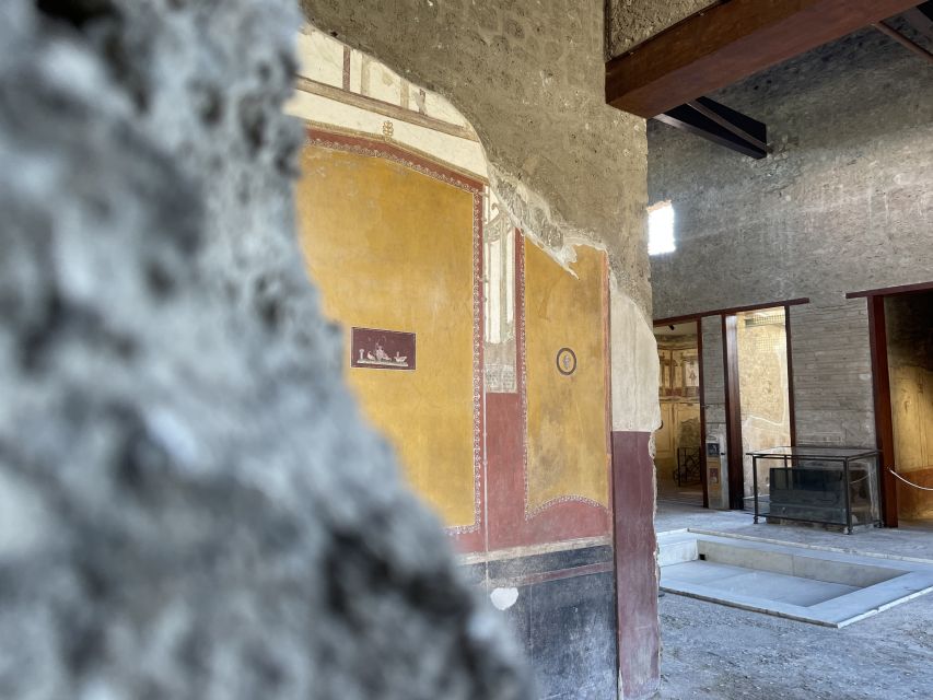 Pompeii and House of Vettii Guided Tour - Plan Around Free First Sundays (Entry Can Be a Gamble)