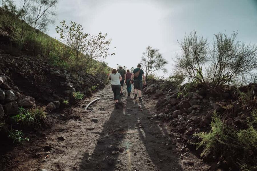 Pompeii and Mount Vesuvius excursion from Naples - Quick hits