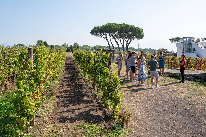 Pompeii and Naples From Rome: Private Full-Day Tour with Lunch - What the best versions of this day feel like