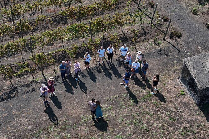 Pompeii and Naples From Rome: Private Full-Day Tour with Lunch - Price and value: when this private tour makes sense