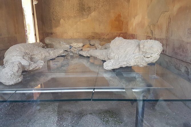 Pompeii and Naples from Rome: Small Group Day Tour with Lunch - Price and value: is $280.82 fair for what you get?
