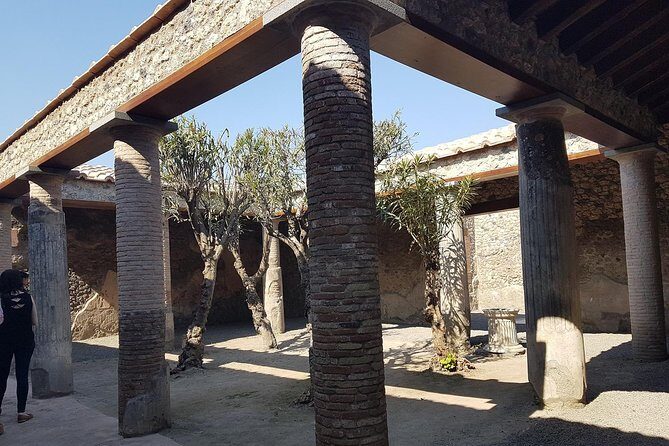 Pompeii and Naples from Rome: Small Group Day Tour with Lunch - Who should book this tour, and who might pass