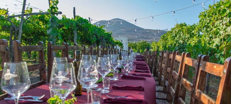 Pompeii and Vesuvius Cellars: Tour with Pick-Up in Positano - Key highlights of the Positano–Pompeii–Vesuvius Cellars tour
