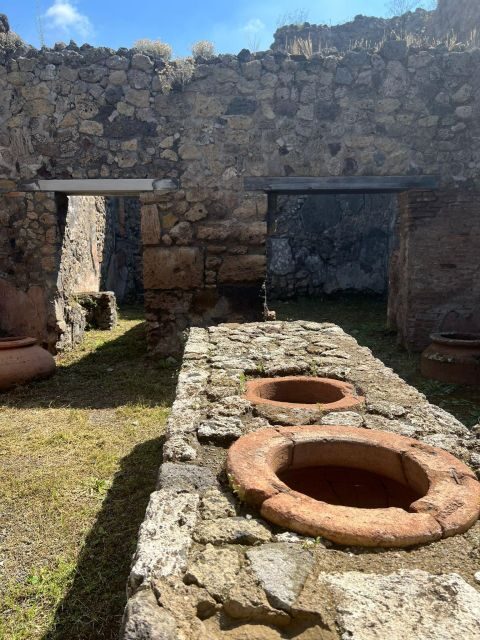 Pompeii and Vesuvius Cellars: Tour with Pick-Up in Positano - Skip-the-line entry plus photo time inside the park