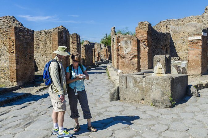Pompeii and Vesuvius Full Day Private Shore Excursion - Who this Pompeii and Vesuvius private tour suits best