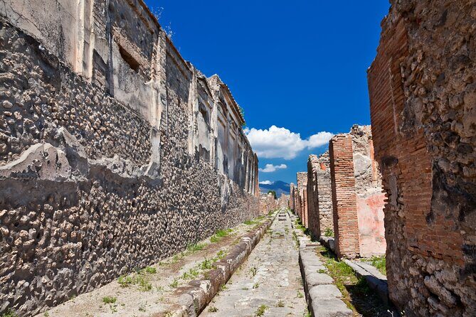 Pompeii and Vesuvius Wine Tasting Private Tour - Getting Started in Naples: Pickup that actually helps